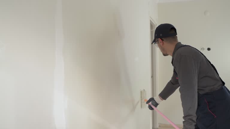 Best Repainting for Renovations  in North Aurora, IL